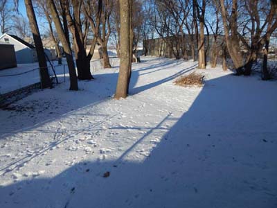 204 W 7th St Sheldon, Iowa 51201